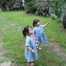 쌍둥이칼국수 이미지