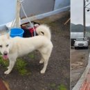 가덕파출소 이미지