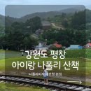 씨유 내남중앙점 | 평창 대관령 맛집 나폴리피자 본점 후기｜실버벨교회와 함께 가기 좋은 가족 나들이 코스