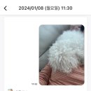 판판차이니즈 전화중국어 3달차 후기!(할인코드: 198425000) 재등록 가능성 매우높음