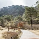 홍천종합행정 이미지