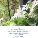 꽃잎담아 이미지