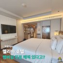 멤버쉽풀 | 멜리아 치앙마이 호텔 2박 후기, 멤버쉽 비법 공유 (조식, 수영장, 루프탑바 리뷰)