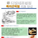 디앤에프병원 이미지