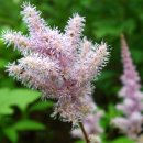 광양사랑병원 이미지