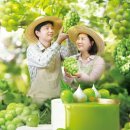 배스킨라빈스영천 - 영천시 충효로 62 | 배스킨라빈스영천