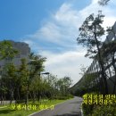 동상동(1450) 이미지