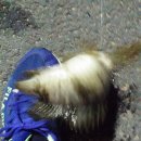 휴 펜션 해양 이미지