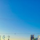 만대식당 | [충남/태안] 광고 말고 진짜 후기! 내돈내산 만대회수산 솔직 리뷰