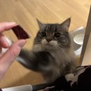 희주농장 | GOOD BYE 2025 (っ'ヮ'っ)