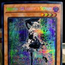2025-04-01 K-TCG 구매 후기