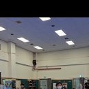 강무관 대호무술체육관 이미지