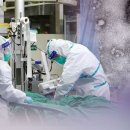 나진초등학교 이미지