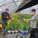 거창읍-23 이미지