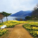 송이목장 이미지