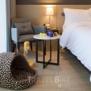 세인트존스 동물병원 이미지