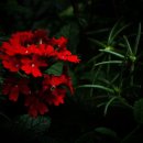 광주체육고등학교 이미지