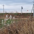 동진장신길 이미지