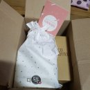 디톡톡 디톡스워터(말린 과일 디톡스)+이쁜워터보틀까지 후기:)