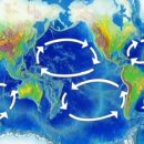 자연SCIENCE 이미지