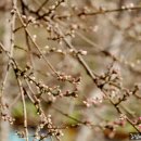 품다 하나 이미지