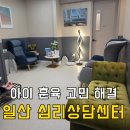 일산 심리상담센터, 서울위드심리상담센터 TCI 기질검사 양육태도검사 후기 (아이 훈육 고민 해결)