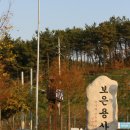 보은용사촌.펜션단지 이미지