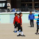 금정초등학교 이미지