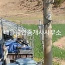 해제면사무소