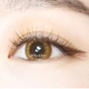 눈썹쟁이 이미지