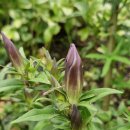 서있는 사람 이미지