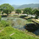 금당실전통마을 이미지