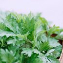 두암한의원 이미지