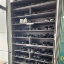 캐치홀릭 | 대구 프리다이빙 자격증 도전기! PSA 레벨1 수료까지 블루홀릭에서 내돈내산 리얼 후기