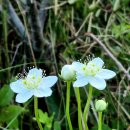 노고단-9 이미지