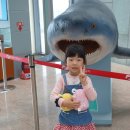 혜림수산