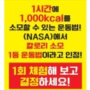 우리동네점핑