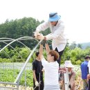 팔렬고등학교 이미지