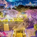 광장코아빌딩 이미지