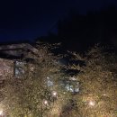 미풍가 | 양양 미풍가 히노끼 자쿠지가 있는 감성숙소 겨울에 다녀왔어요
