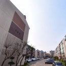 분당-263 이미지