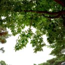 신동목장 이미지