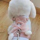 앞섬상회 이미지