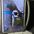 유일크리닝 이미지