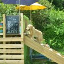 굿프랜드 이미지