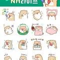 주식회사 테라핀
