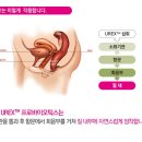듀오핏 이미지
