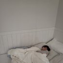 리틀램스테이 휴양펜션 이미지