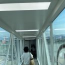 워싱턴유치원 | 대구공항에서 나리타 공항 / 공항버스 이용 / 신주쿠워싱턴호텔 도쿄 / 도쿄도청사 / 도쿄 나이트앤...