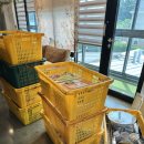 펠리스타운 | 대부도 펜션타운 구순잔치 &#39;세종펠리스 출장뷔페&#39; C코스 소규모 행사 추천 후기(가격, 메뉴) 내돈내산